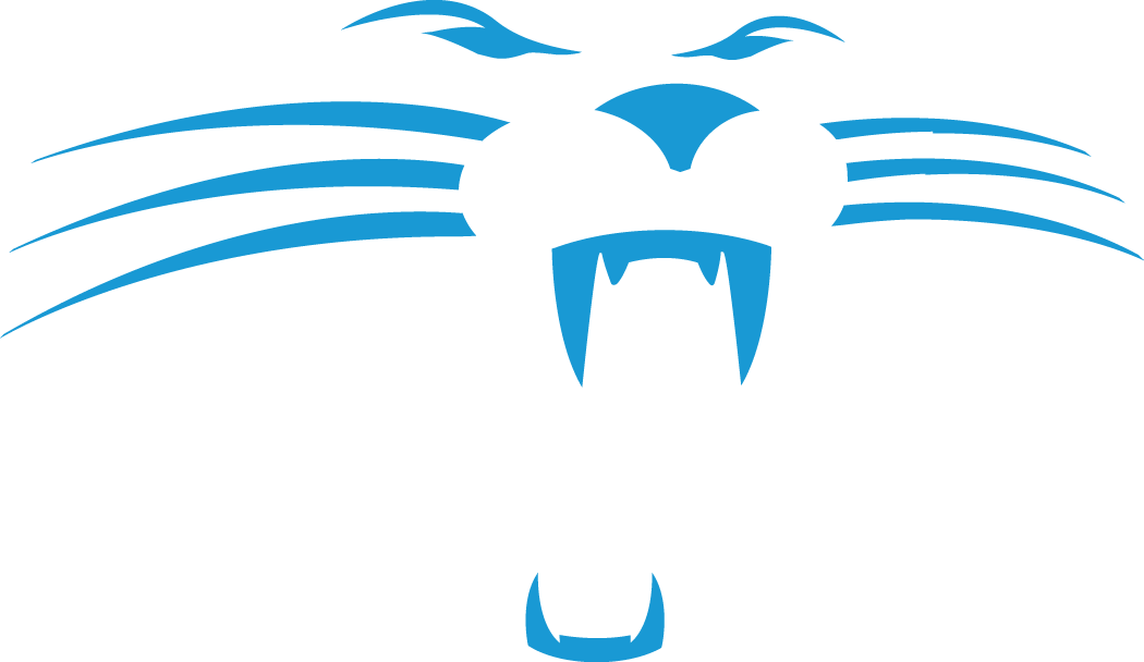 Carolina Panthers 1995-2011 Alternate Logo iron on transfers for fabric version 3